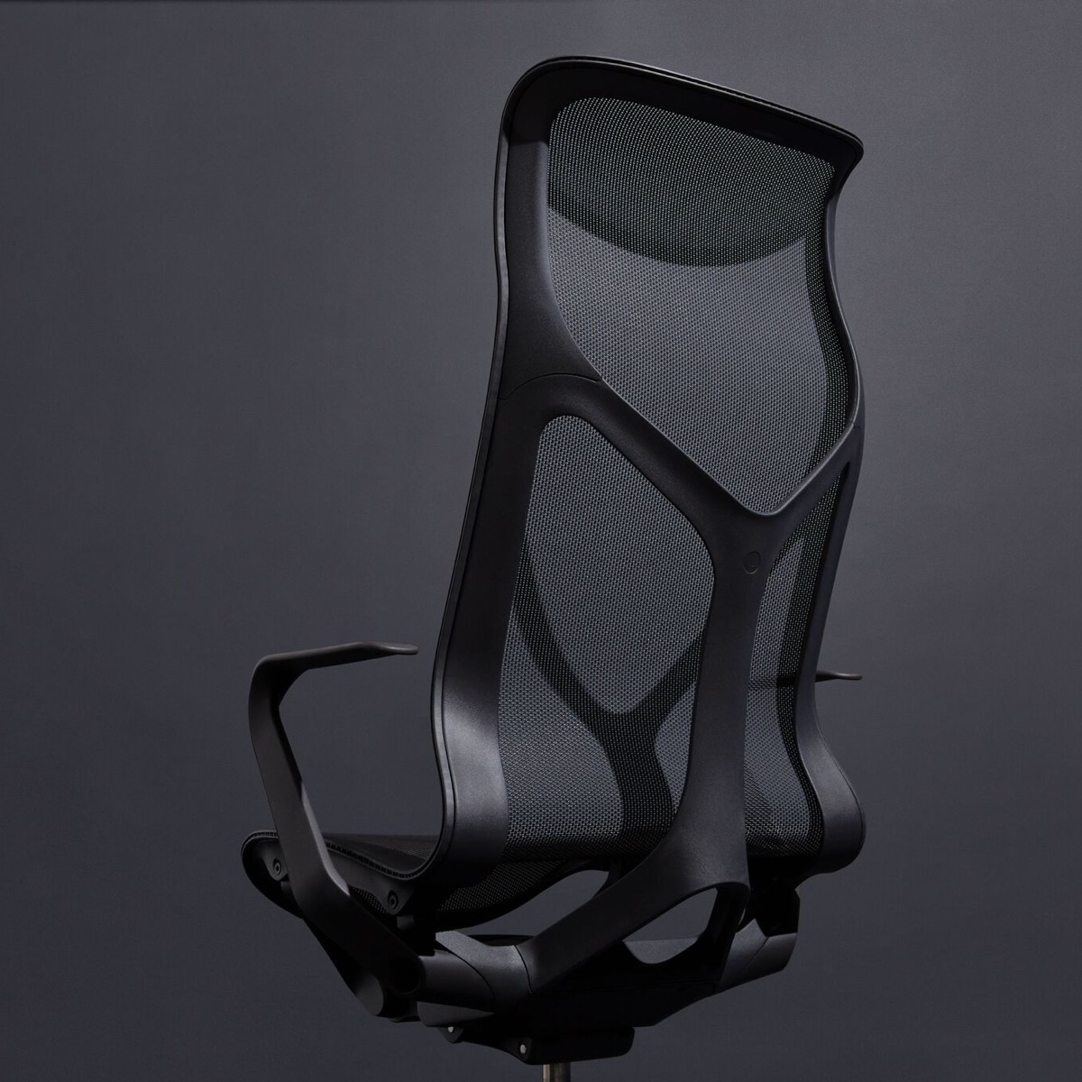 A Graphite cinza escuro Cosm alto-back cadeira ergonômica de mesa com braços fixos em um fundo cinza escuro.